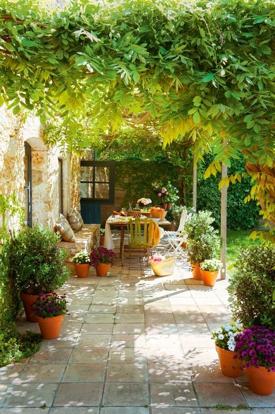 cubrir terraza con plantas_2