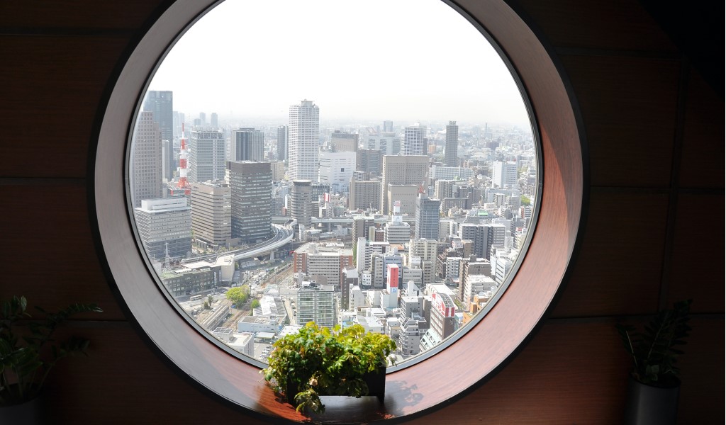 decora tus ventanas con flores