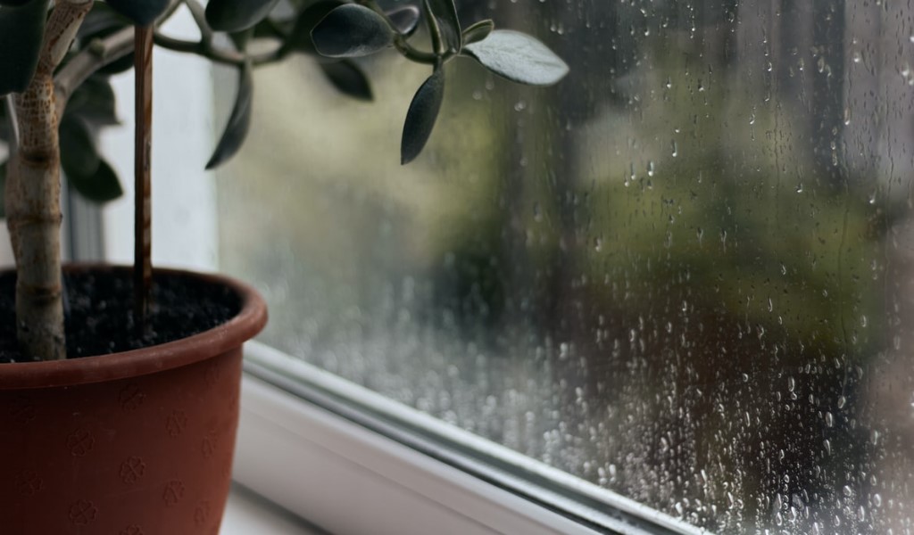 https://sg.climalit.es/blog/wp-content/uploads/2021/10/Foto-1-1024-x-600.jpg