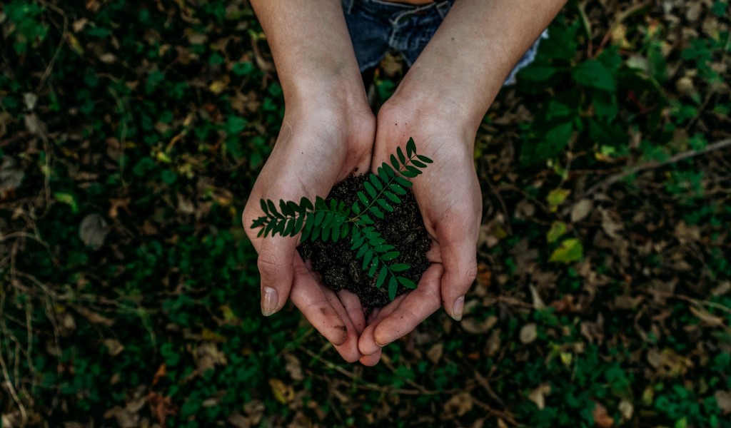 https://sg.climalit.es/blog/wp-content/uploads/2021/10/Foto-1-1024x600-3-1.jpg