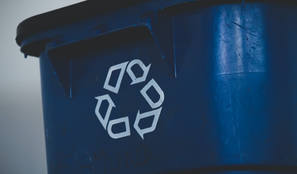 Las 5 erres ecológicas