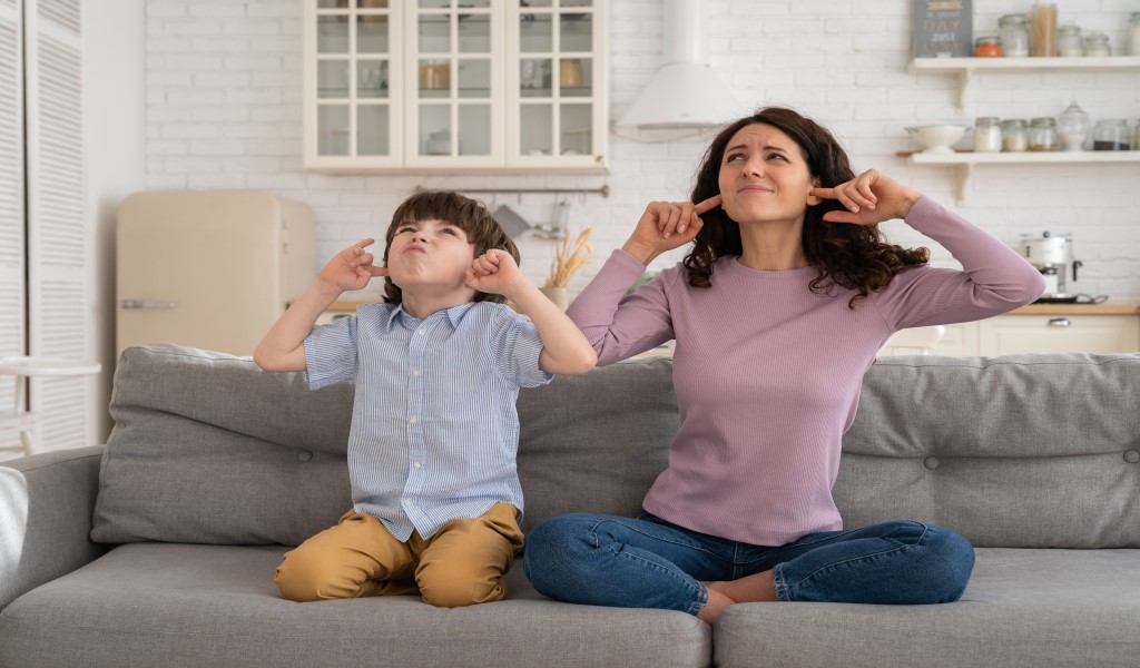 https://sg.climalit.es/blog/wp-content/uploads/2023/01/como-disminuir-el-ruido-en-tu-vivienda_01.jpg