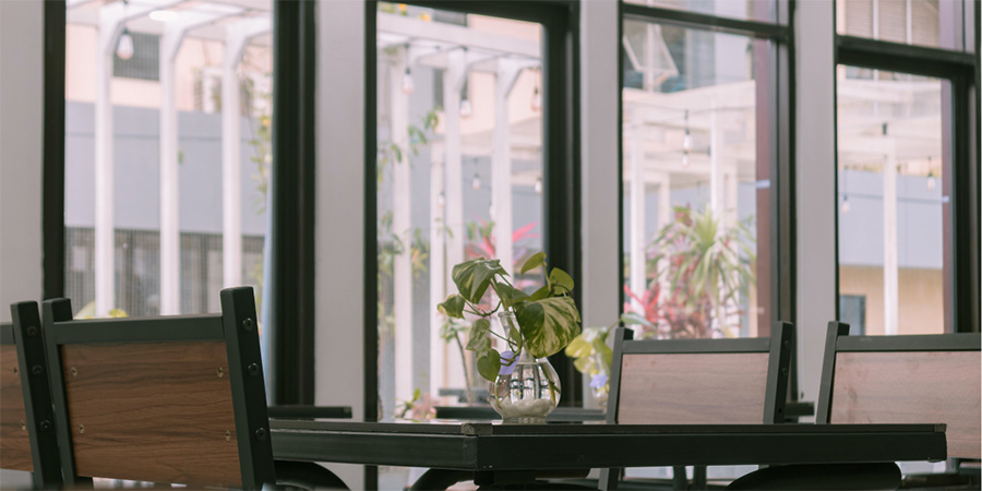 mesa con planta frente a ventanal